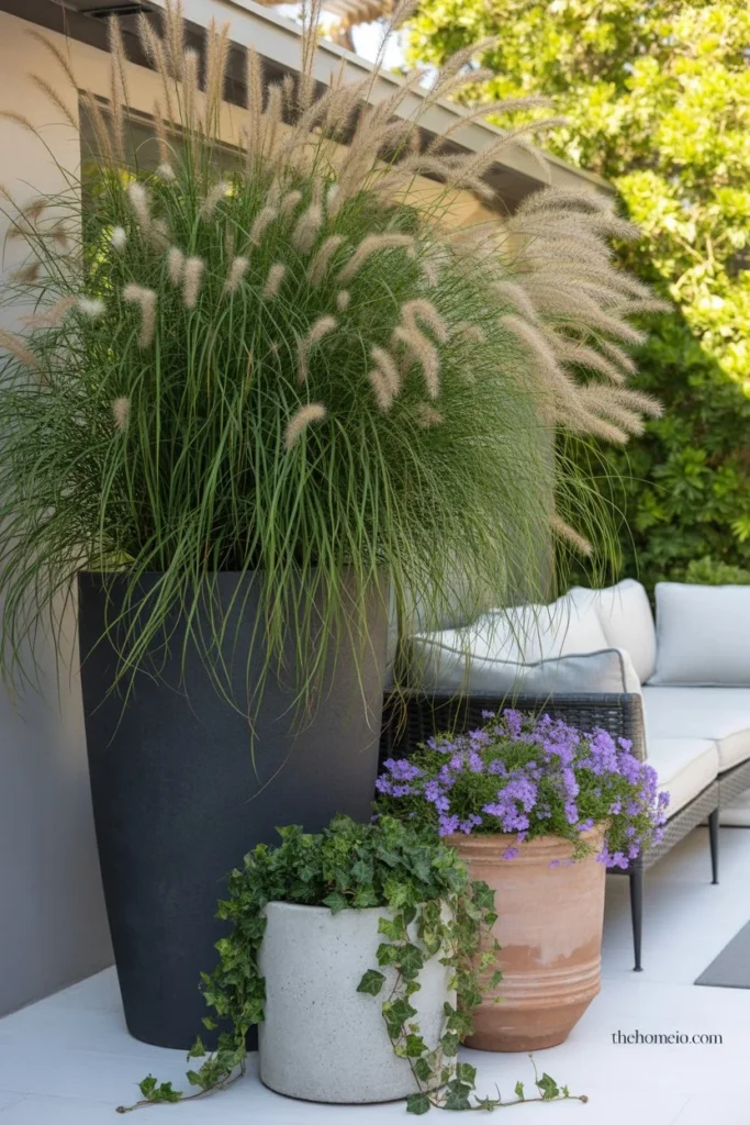 backyard patio corner with dramatic grouping of large planters ornamental grass trailing vine and flowering plant
